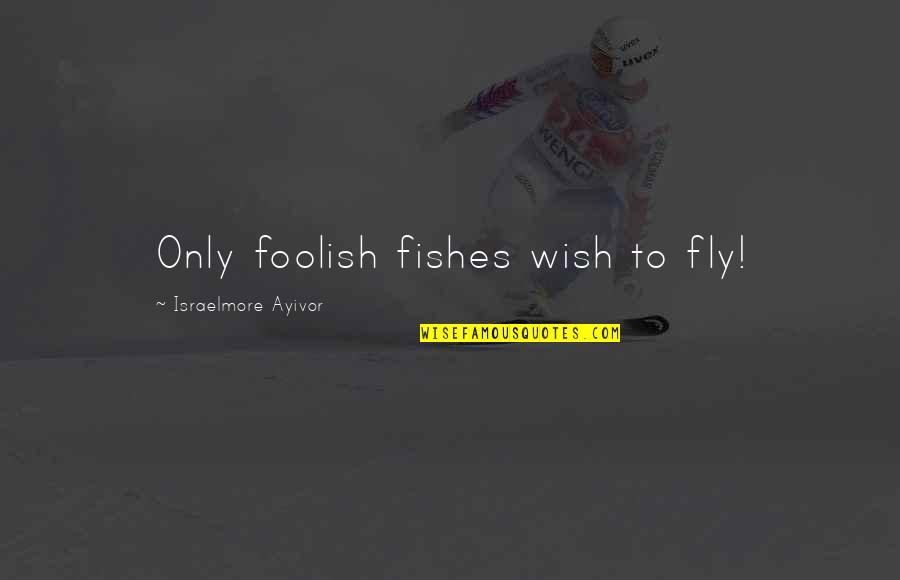 Swim The Fly Quotes By Israelmore Ayivor: Only foolish fishes wish to fly! Swim The Fly Quotes By Israelmore Ayivor: Only foolish fishes wish to fly!