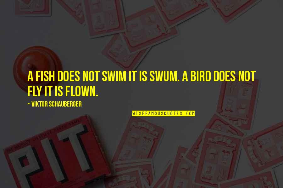 Swim The Fly Quotes By Viktor Schauberger: A fish does not swim it is SWUM. Swim The Fly Quotes By Viktor Schauberger: A fish does not swim it is SWUM.