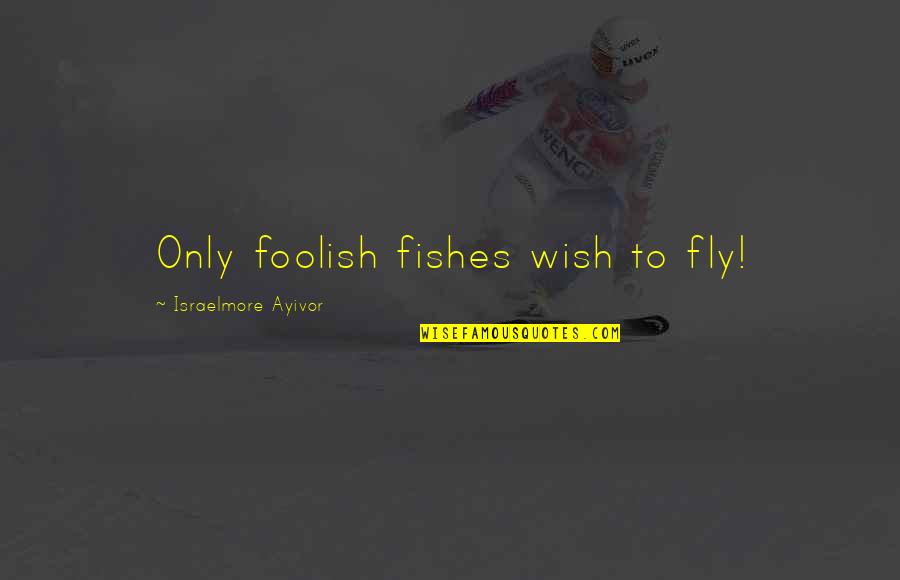 Swim With The Fish Quotes By Israelmore Ayivor: Only foolish fishes wish to fly! Swim With The Fish Quotes By Israelmore Ayivor: Only foolish fishes wish to fly!