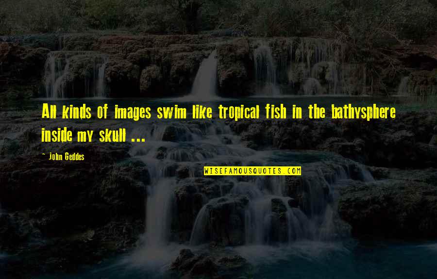 Swim With The Fish Quotes By John Geddes: All kinds of images swim like tropical fish