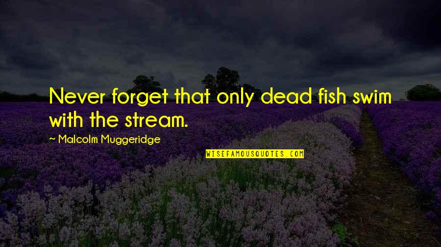 Swim With The Fish Quotes By Malcolm Muggeridge: Never forget that only dead fish swim with Swim With The Fish Quotes By Malcolm Muggeridge: Never forget that only dead fish swim with