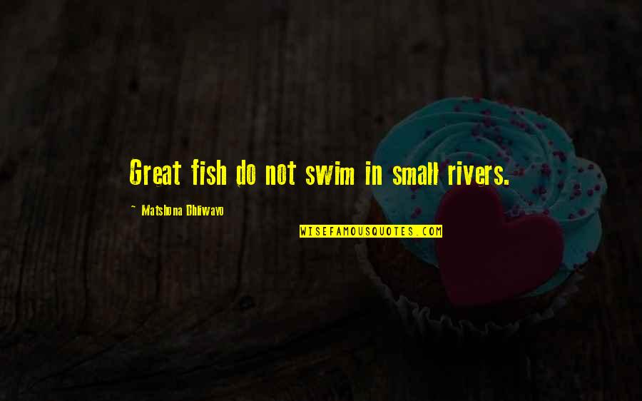 Swim With The Fish Quotes By Matshona Dhliwayo: Great fish do not swim in small rivers. Swim With The Fish Quotes By Matshona Dhliwayo: Great fish do not swim in small rivers.