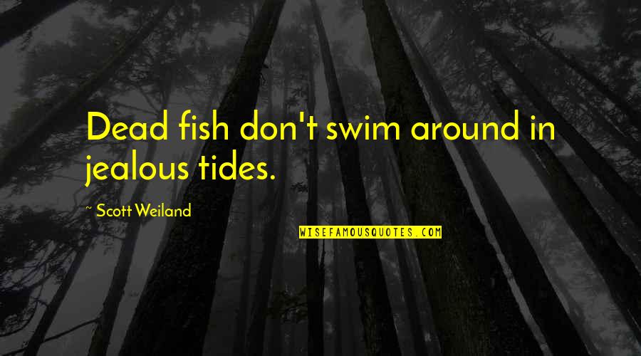 Swim With The Fish Quotes By Scott Weiland: Dead fish don't swim around in jealous tides. Swim With The Fish Quotes By Scott Weiland: Dead fish don't swim around in jealous tides.