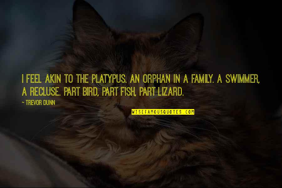 Swimmer Quotes By Trevor Dunn: I feel akin to the Platypus. An orphan Swimmer Quotes By Trevor Dunn: I feel akin to the Platypus. An orphan