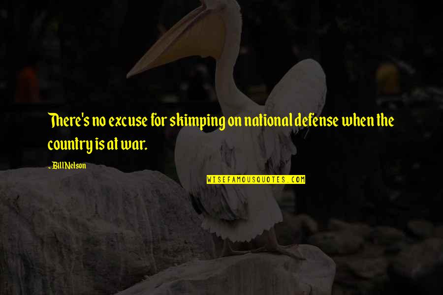 Swinburnes Theodicy Quotes By Bill Nelson: There's no excuse for skimping on national defense