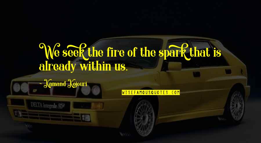 Swiney Quotes By Kamand Kojouri: We seek the fire of the spark that Swiney Quotes By Kamand Kojouri: We seek the fire of the spark that