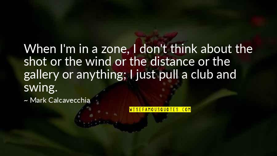 Swing Golf Quotes By Mark Calcavecchia: When I'm in a zone, I don't think