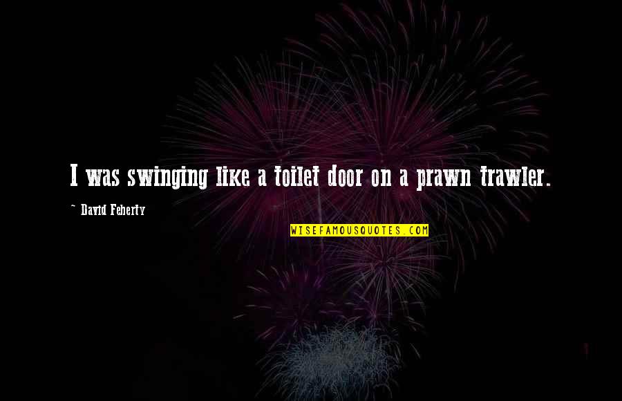 Swinging Door Quotes By David Feherty: I was swinging like a toilet door on