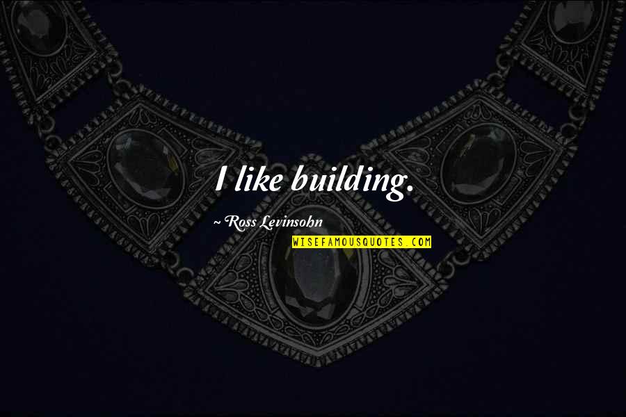 Swinish Creature Quotes By Ross Levinsohn: I like building.
