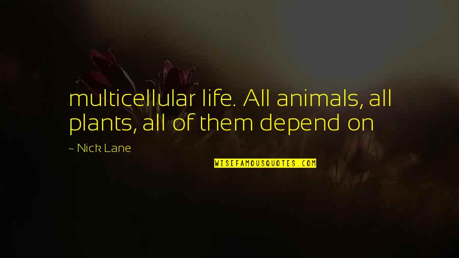 Swished Cheese Quotes By Nick Lane: multicellular life. All animals, all plants, all of