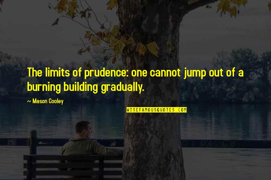 Swisslex Quotes By Mason Cooley: The limits of prudence: one cannot jump out