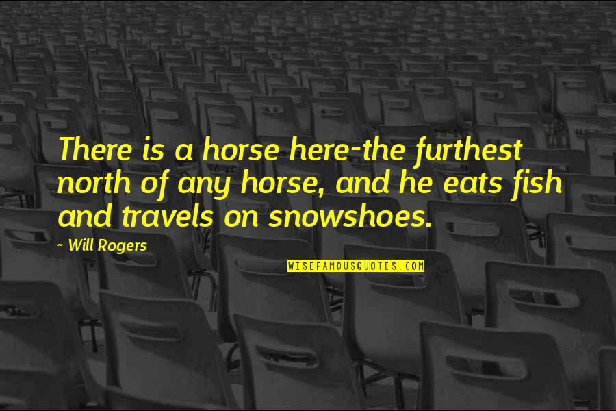Switched Netflix Quotes By Will Rogers: There is a horse here-the furthest north of
