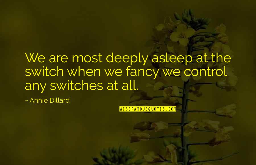 Switches Quotes By Annie Dillard: We are most deeply asleep at the switch