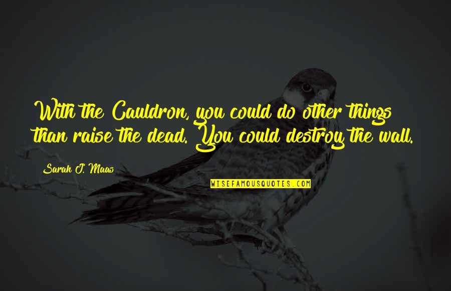 Sword In Stone Quotes By Sarah J. Maas: With the Cauldron, you could do other things