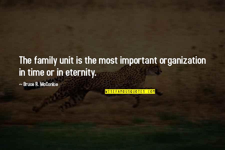 Sword Of The Spirit Quotes By Bruce R. McConkie: The family unit is the most important organization