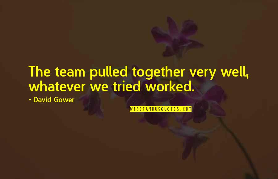 Swyft Filing Quotes By David Gower: The team pulled together very well, whatever we