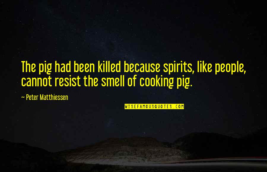 Sx7e Quotes By Peter Matthiessen: The pig had been killed because spirits, like Sx7e Quotes By Peter Matthiessen: The pig had been killed because spirits, like