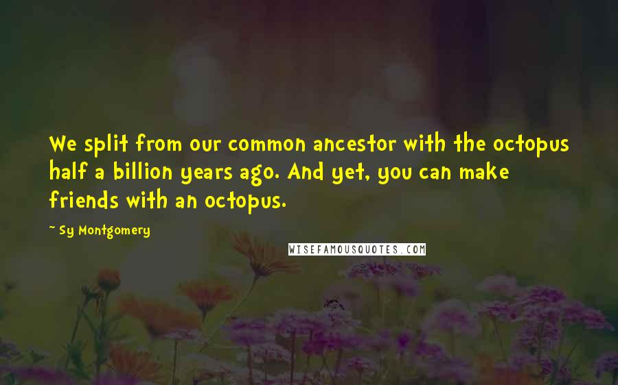 Sy Montgomery quotes: We split from our common ancestor with the octopus half a billion years ago. And yet, you can make friends with an octopus. Sy Montgomery quotes: We split from our common ancestor with the octopus half a billion years ago. And yet, you can make friends with an octopus.