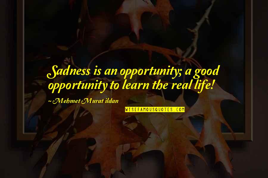 Syarifudin Zuhri Quotes By Mehmet Murat Ildan: Sadness is an opportunity; a good opportunity to