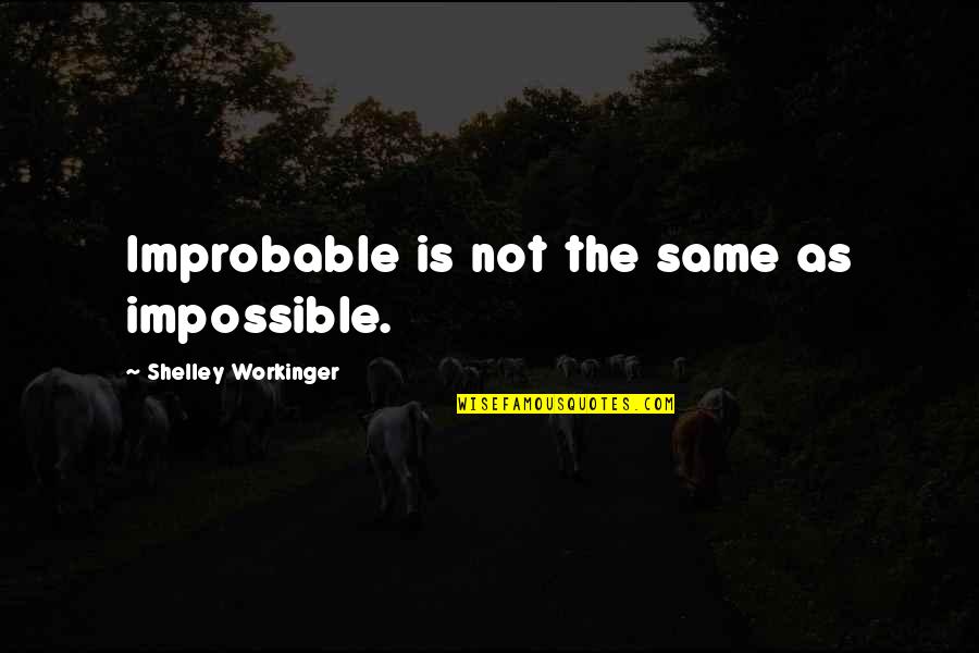 Sybie Kotze Quotes By Shelley Workinger: Improbable is not the same as impossible.