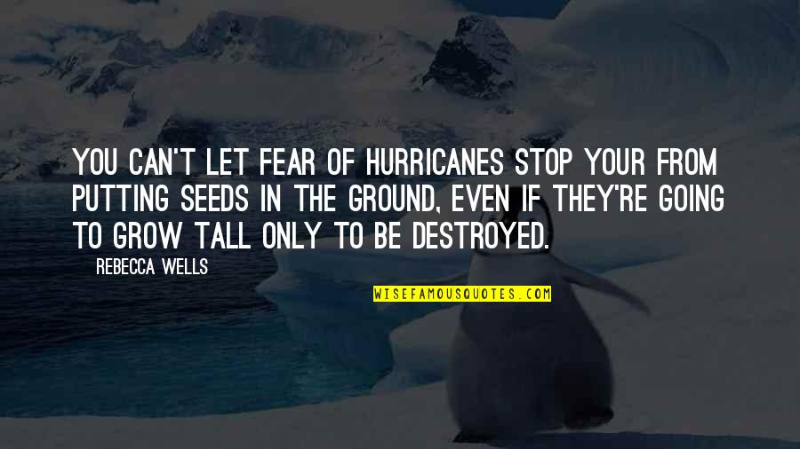Sybleu Quotes By Rebecca Wells: You can't let fear of hurricanes stop your Sybleu Quotes By Rebecca Wells: You can't let fear of hurricanes stop your