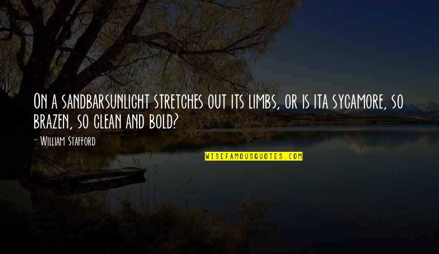 Sycamore Quotes By William Stafford: On a sandbarsunlight stretches out its limbs, or Sycamore Quotes By William Stafford: On a sandbarsunlight stretches out its limbs, or