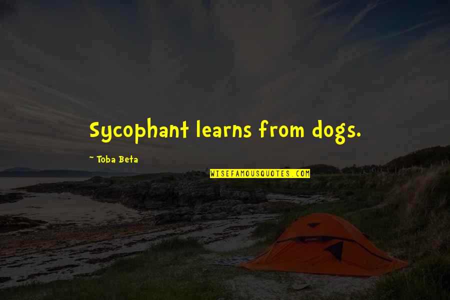 Sycophant Quotes By Toba Beta: Sycophant learns from dogs.