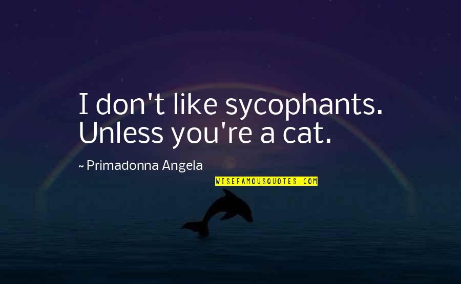 Sycophants Quotes By Primadonna Angela: I don't like sycophants. Unless you're a cat.