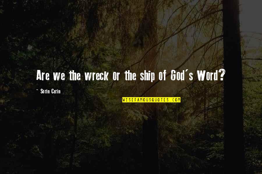 Sycophants Sayings And Quotes By Sorin Cerin: Are we the wreck or the ship of