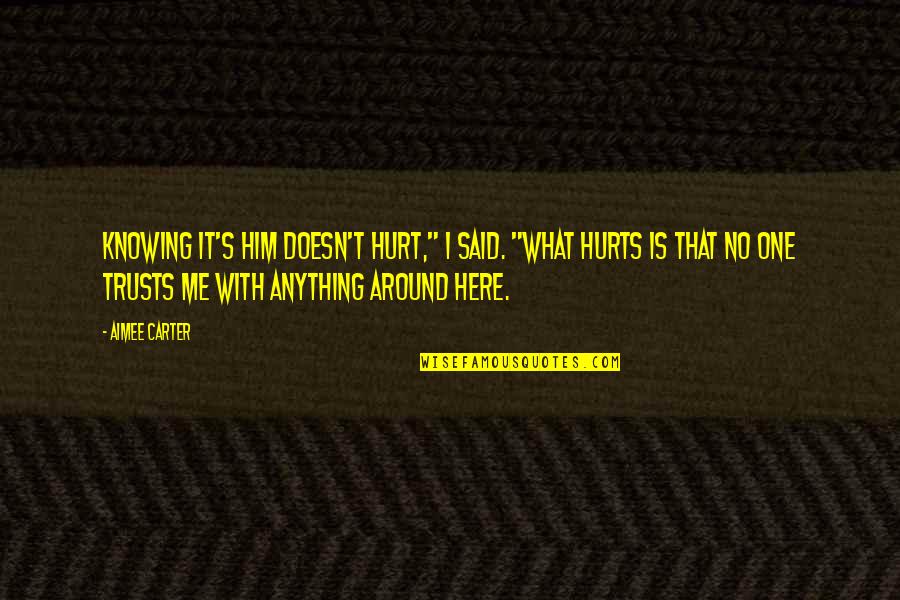 Sylbert Cheekan Quotes By Aimee Carter: Knowing it's him doesn't hurt," I said. "What Sylbert Cheekan Quotes By Aimee Carter: Knowing it's him doesn't hurt," I said. "What