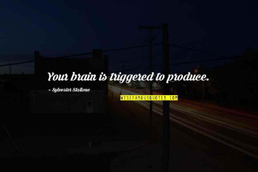 Sylvester Quotes By Sylvester Stallone: Your brain is triggered to produce.