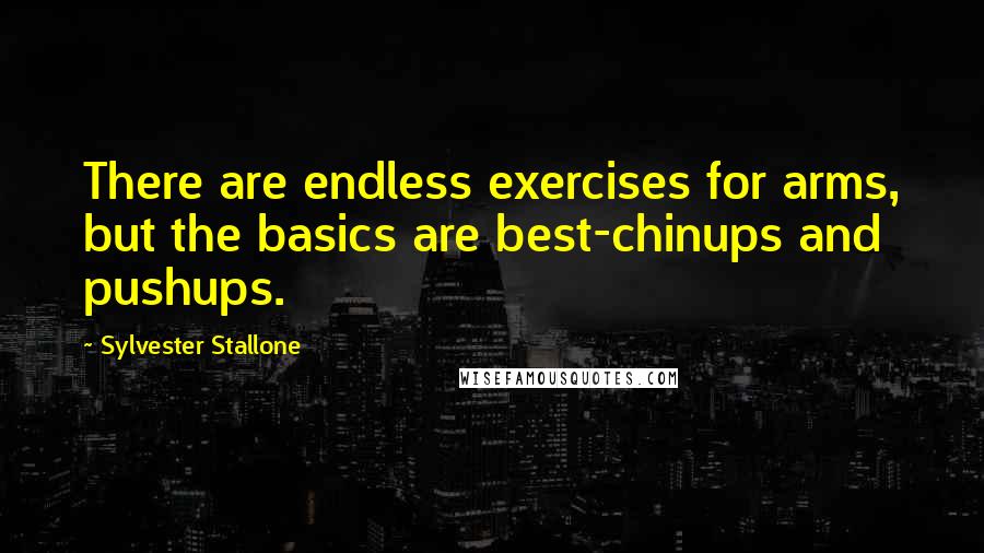 Sylvester Stallone quotes: There are endless exercises for arms, but the basics are best-chinups and pushups.