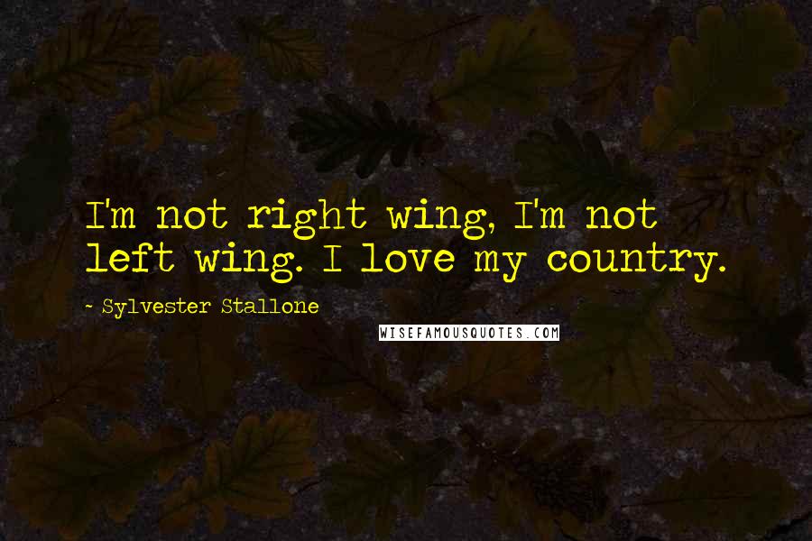 Sylvester Stallone quotes: I'm not right wing, I'm not left wing. I love my country.