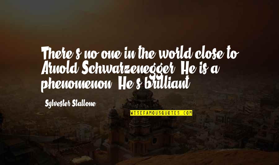 Sylvester's Quotes By Sylvester Stallone: There's no one in the world close to