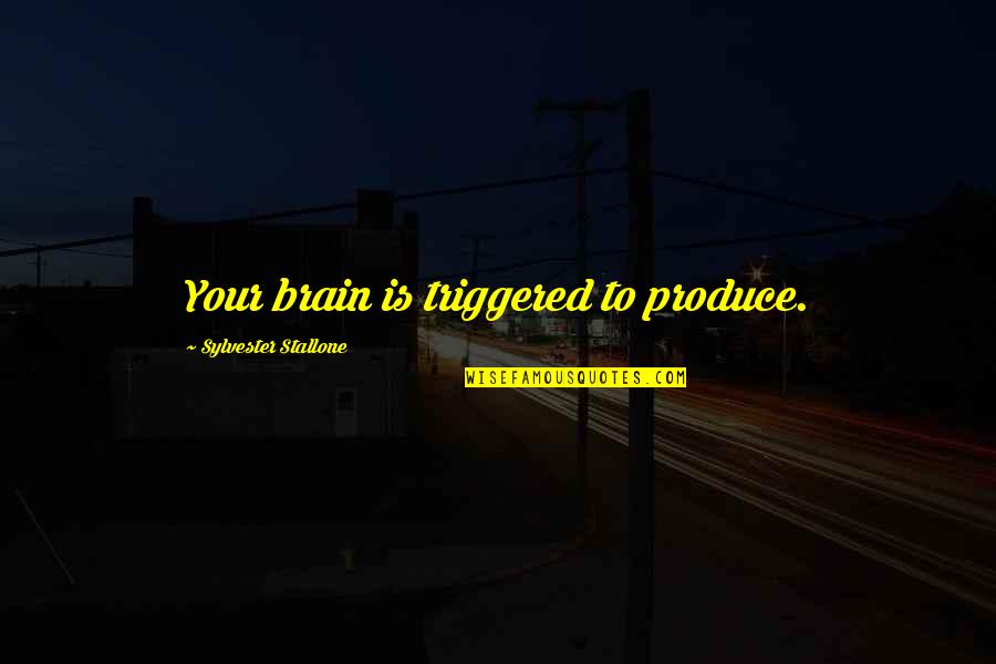 Sylvester's Quotes By Sylvester Stallone: Your brain is triggered to produce.