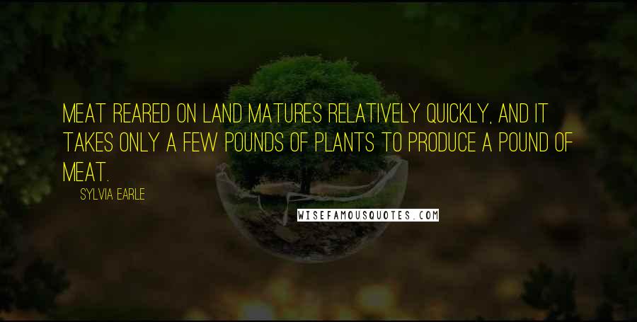 Sylvia Earle quotes: Meat reared on land matures relatively quickly, and it takes only a few pounds of plants to produce a pound of meat. Sylvia Earle quotes: Meat reared on land matures relatively quickly, and it takes only a few pounds of plants to produce a pound of meat.
