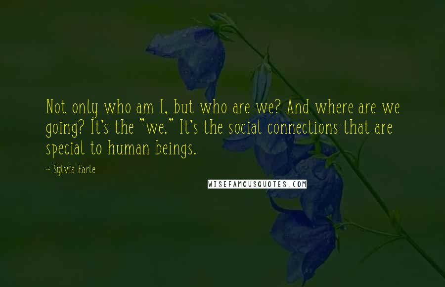 Sylvia Earle quotes: Not only who am I, but who are we? And where are we going? It's the "we." It's the social connections that are special to human beings.