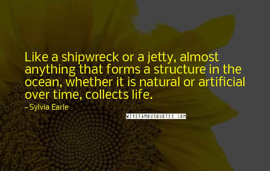 Sylvia Earle quotes: Like a shipwreck or a jetty, almost anything that forms a structure in the ocean, whether it is natural or artificial over time, collects life.