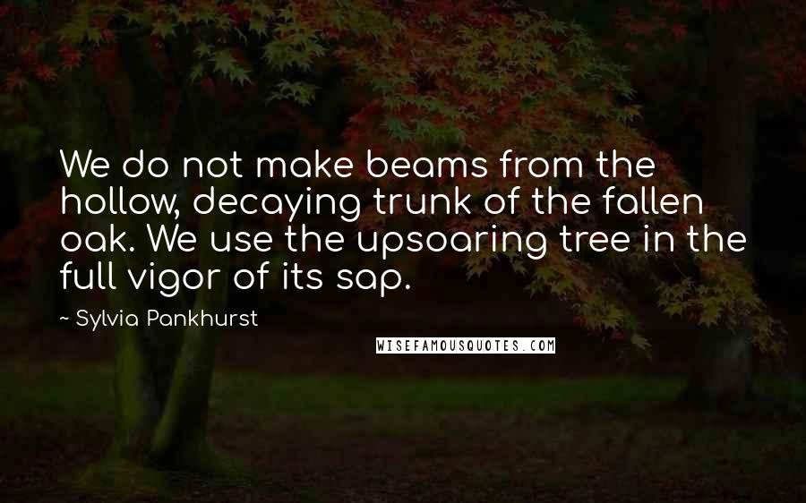 Sylvia Pankhurst quotes: We do not make beams from the hollow, decaying trunk of the fallen oak. We use the upsoaring tree in the full vigor of its sap.