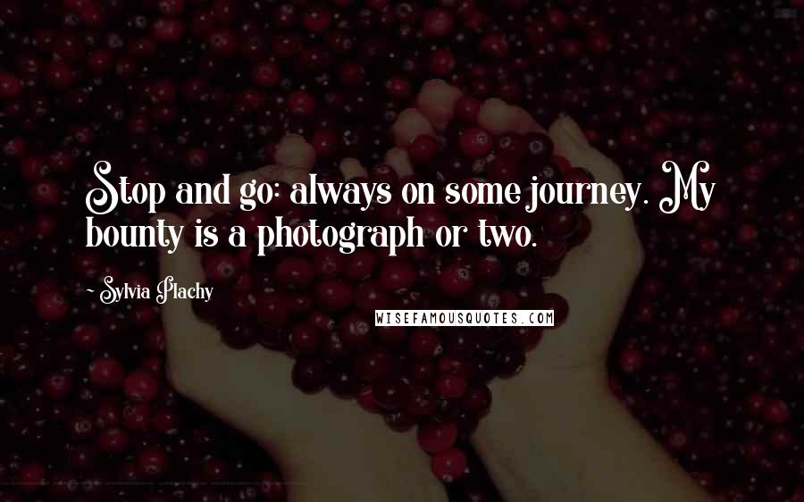 Sylvia Plachy quotes: Stop and go: always on some journey. My bounty is a photograph or two.