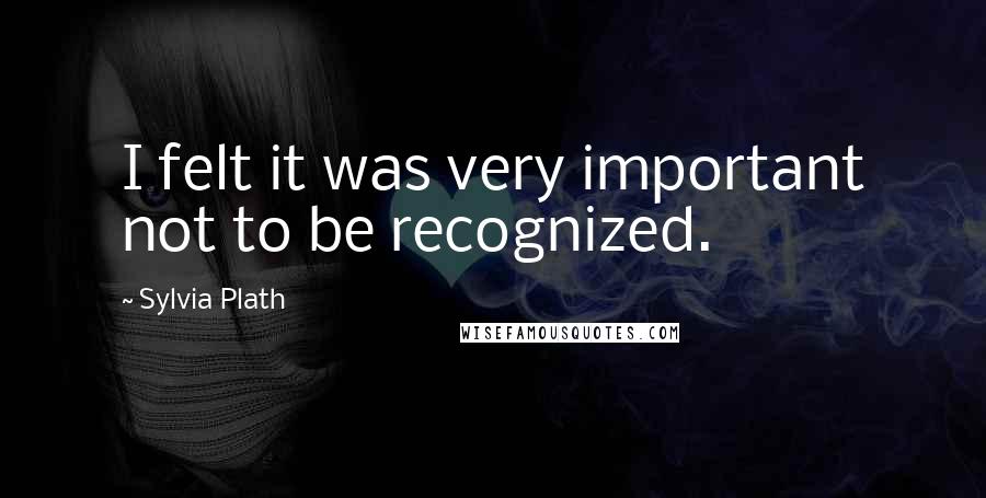 Sylvia Plath quotes: I felt it was very important not to be recognized.