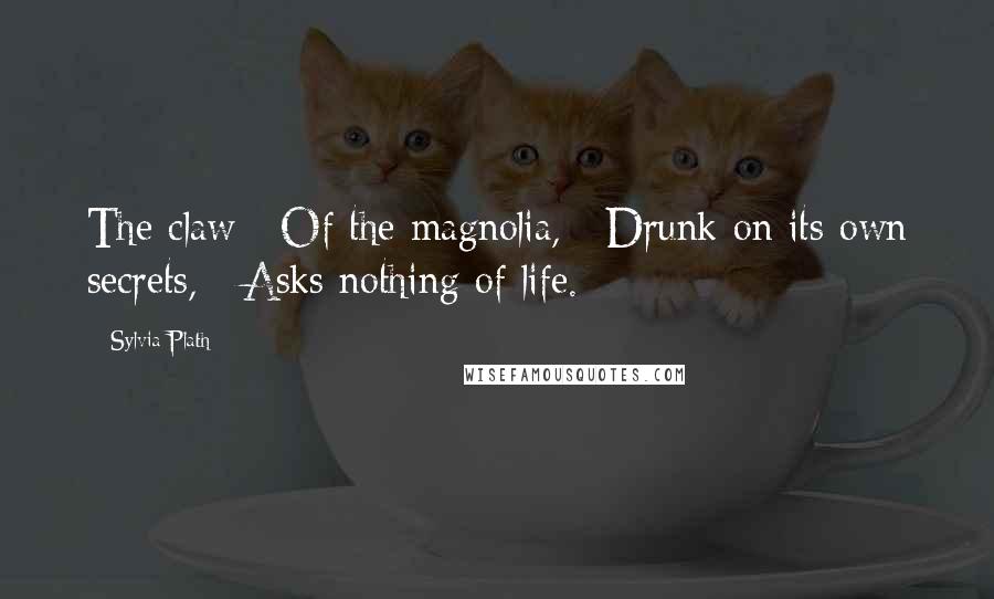 Sylvia Plath quotes: The claw / Of the magnolia, / Drunk on its own secrets, / Asks nothing of life. Sylvia Plath quotes: The claw / Of the magnolia, / Drunk on its own secrets, / Asks nothing of life.