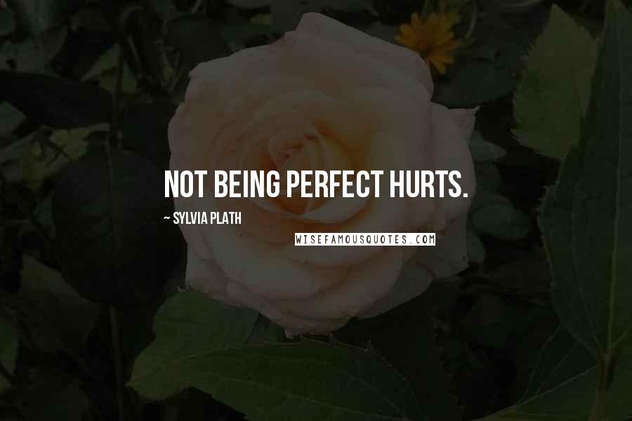 Sylvia Plath quotes: Not being perfect hurts.