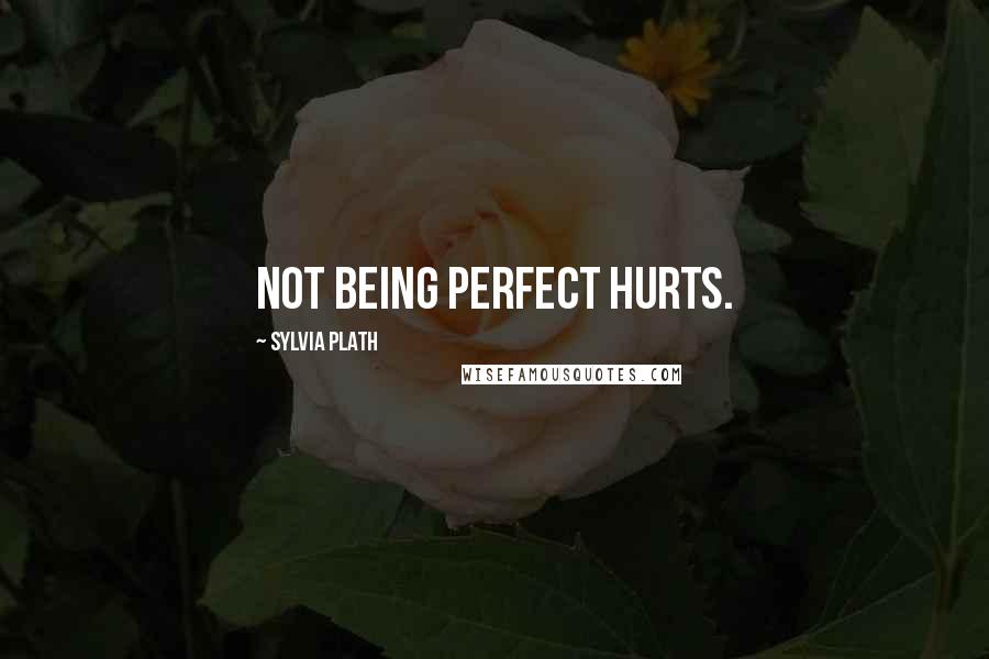 Sylvia Plath quotes: Not being perfect hurts. Sylvia Plath quotes: Not being perfect hurts.