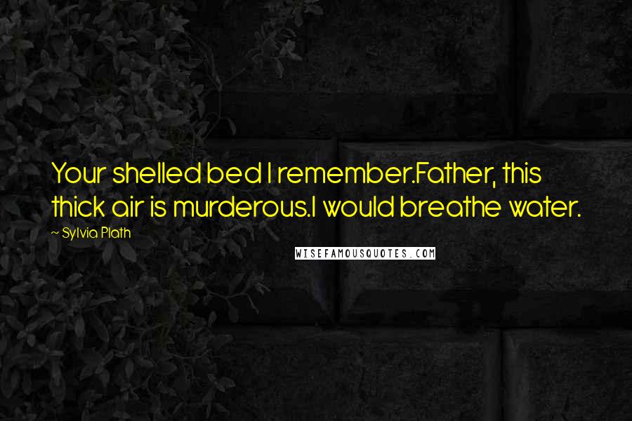 Sylvia Plath quotes: Your shelled bed I remember.Father, this thick air is murderous.I would breathe water. Sylvia Plath quotes: Your shelled bed I remember.Father, this thick air is murderous.I would breathe water.