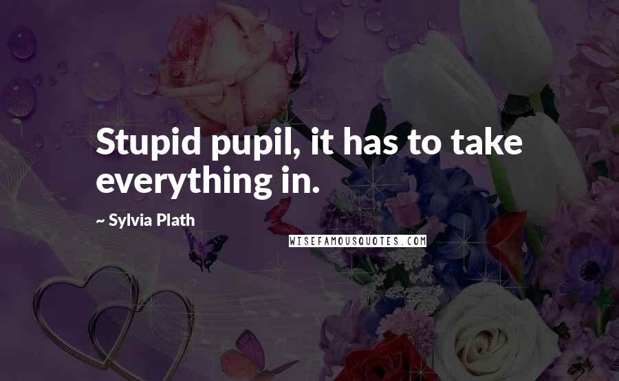Sylvia Plath quotes: Stupid pupil, it has to take everything in.