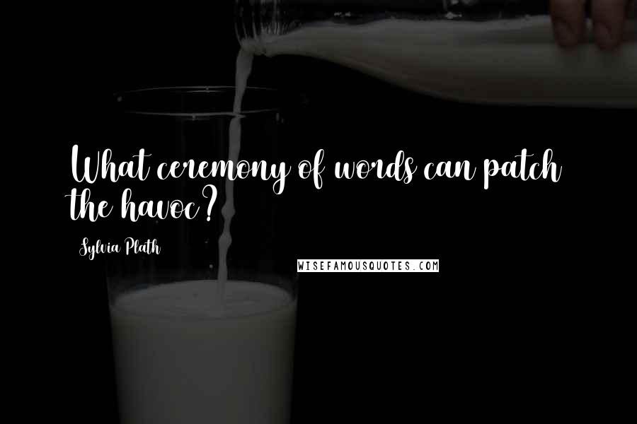 Sylvia Plath quotes: What ceremony of words can patch the havoc?