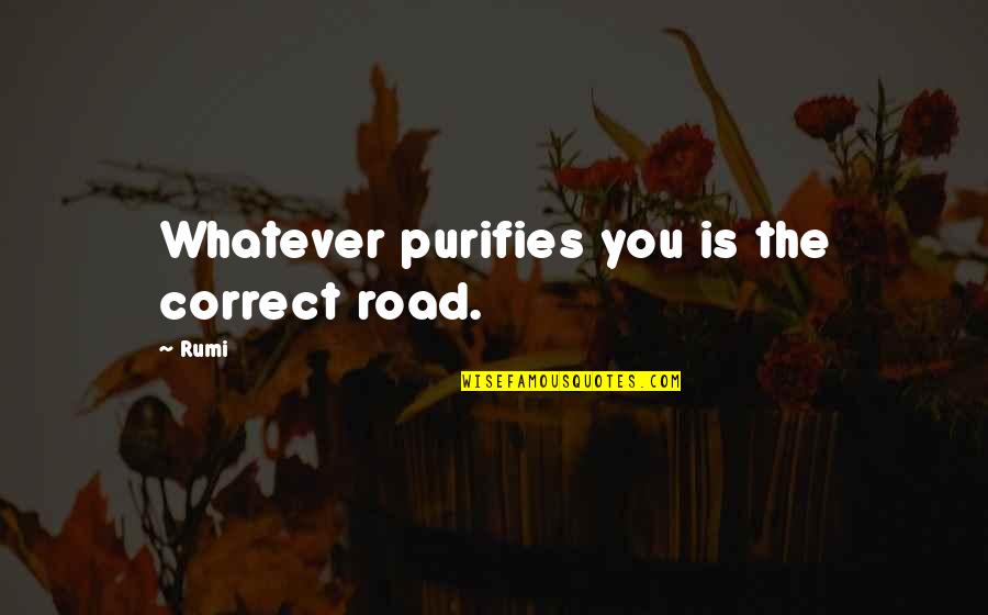 Sylvie Meis Quotes By Rumi: Whatever purifies you is the correct road.