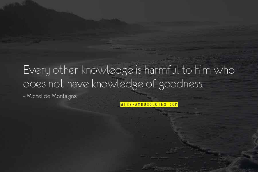 Sylvine Beller Quotes By Michel De Montaigne: Every other knowledge is harmful to him who
