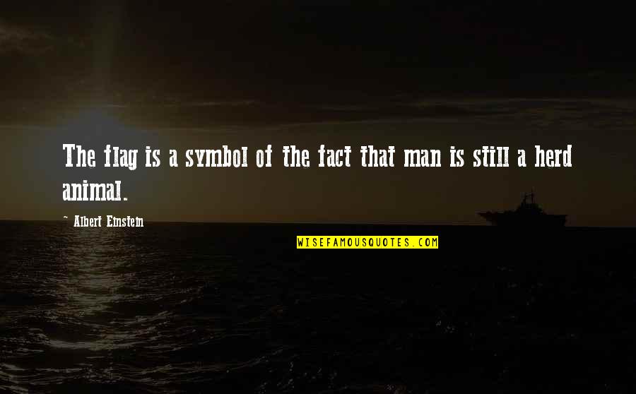 Symbol Quotes By Albert Einstein: The flag is a symbol of the fact Symbol Quotes By Albert Einstein: The flag is a symbol of the fact